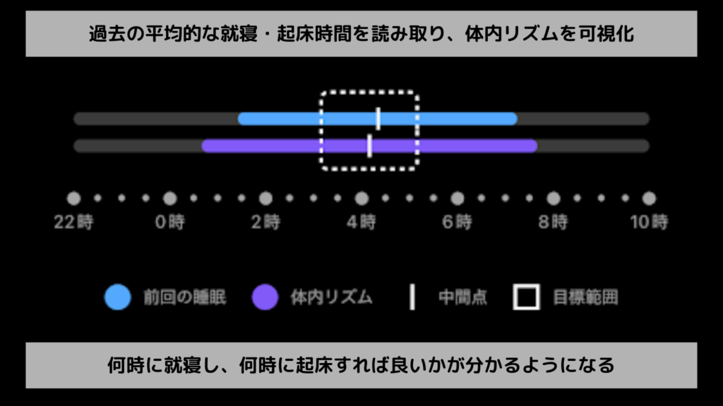 体内リズムの可視化